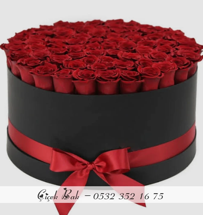 Kadife kutuda 100 adet gül